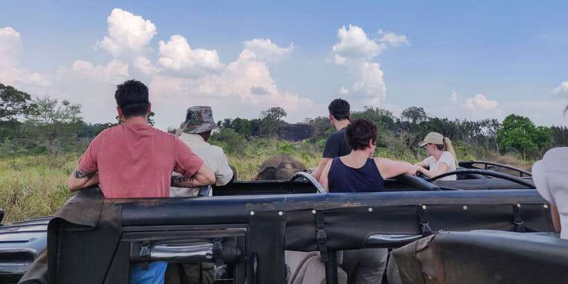 Hurulu Eco Park: 3-Hour Morning or Evening Safari - Quick Practical Tips So Your Safari Feels Easy