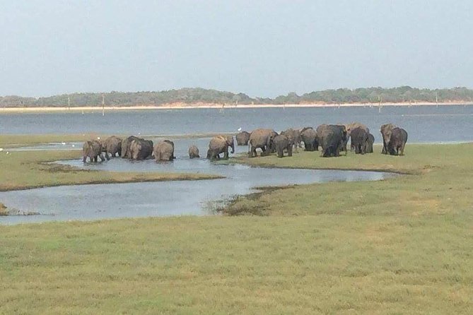 Hurulu eco park jeep safari - Key takeaways before you go