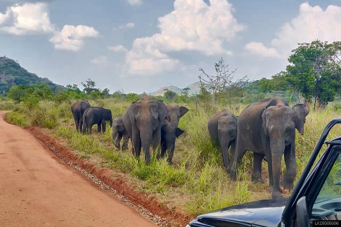 Hurulu Eco Park Private Safari - Hurulu Eco Park, and why this reserve works for wildlife