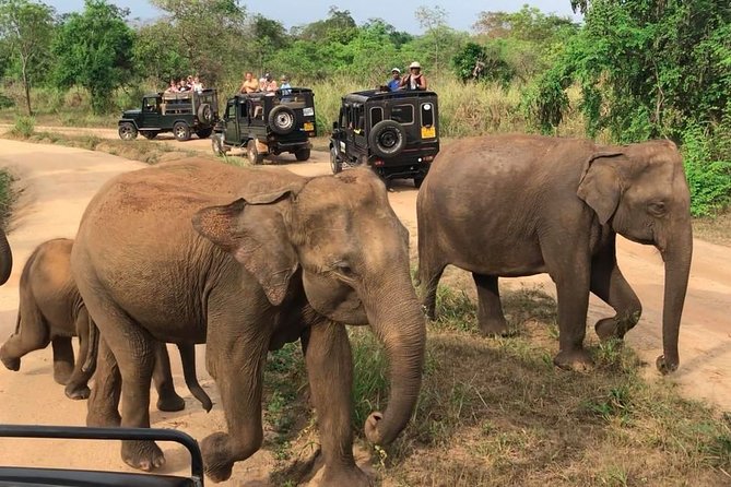 Hurulu Eco Park Private Safari - Price and value: $27, small-group safari, and entrance fees