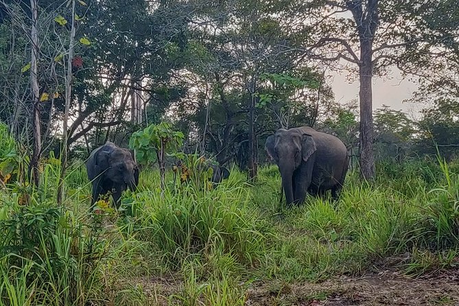 Hurulu Eco Park Private Safari - Pickup radius and transfers, and how to plan your meeting point