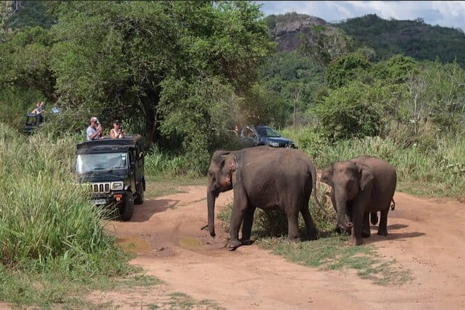 Hurulu Eco Park Safari Adventure - Key highlights worth your attention