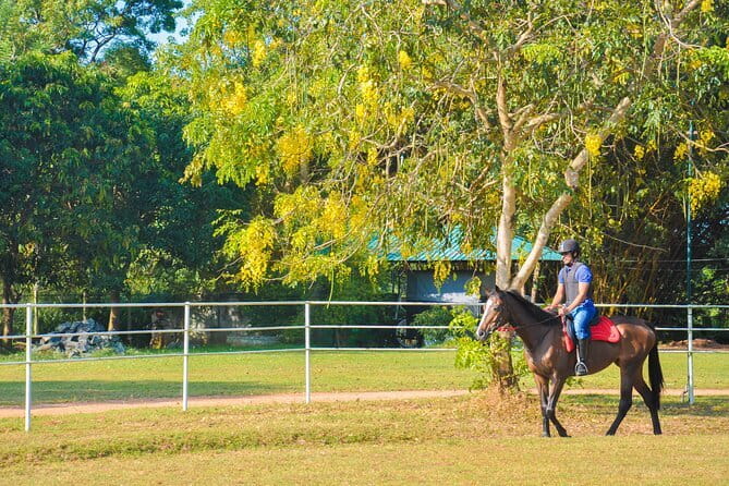 Hurulu Eco Park Safari Adventure - Getting there: meeting point at Hurulu Eco Park A12, Habarana
