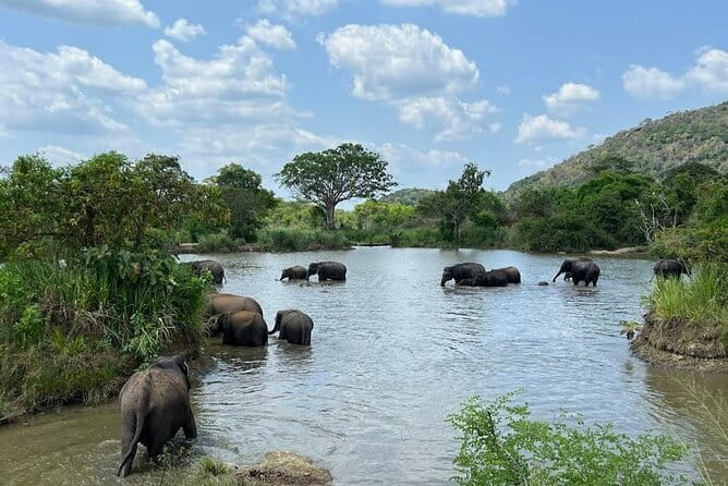 Hurulu Eco Park Safari Adventure - Stop in the park: what to expect inside Hurulu Eco Park