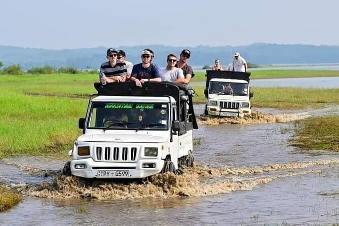Hurulu Eco Park Safari Adventure - Wildlife beyond elephants: deer, peacocks, monkeys, and birds
