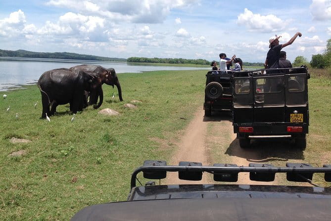 Hurulu Eco Park Safari Adventure - Small group feel, and toddler rules that help families