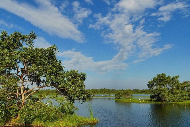 Kalametiya Bird Sanctuary Catamaran Bird Watching Tour - Why Kalametiya by catamaran birding feels like time well spent