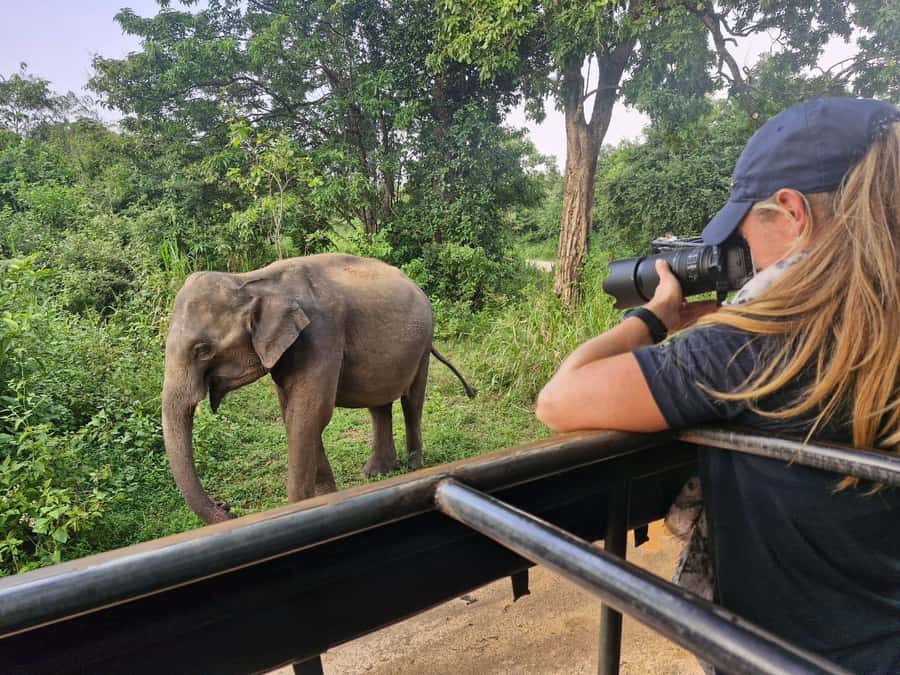 Kandy: 4-Day Sri Lanka Full Circle Private Tour To Colombo - How this 4-day route feels like a classical Sri Lanka week