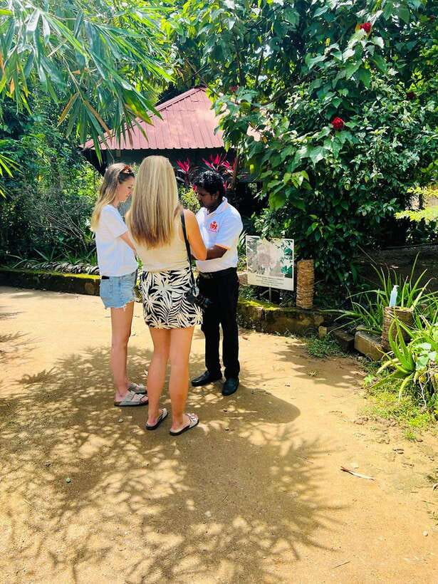 Kandy City Day Tour from Colombo, Negombo or Katunayake - Temple of the Tooth Relic Puja in the evening, where prayer is the point