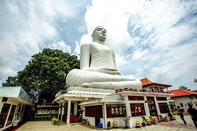 Kandy City Day Tour with a verified tour guide - Ceylon Tea Museum: learn the process, not just the souvenir story