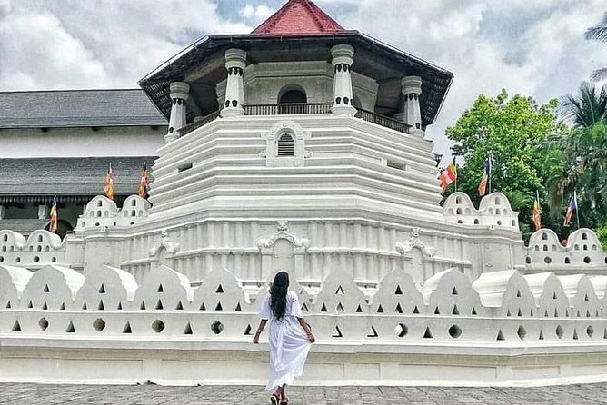 Kandy City guide Tour and day trip private luxury car and van - Peradeniya Royal Botanical Gardens: a big 1-hour walk with extra costs