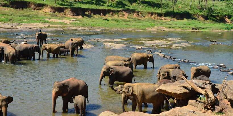 Kandy: City Highlights and Ramboda Waterfall Trip - Key Points You Will Care About
