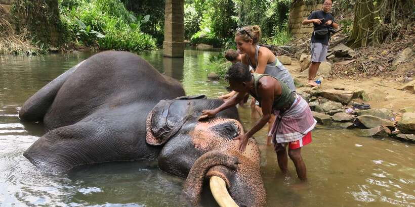 Kandy: City Highlights and Ramboda Waterfall Trip - The Real Appeal of This Kandy to Ramboda Day Trip