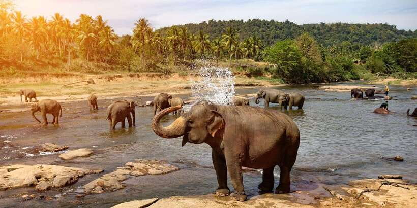 Kandy: City Highlights and Ramboda Waterfall Trip - 8:00am Pickup, Asgiriya Stupa, and the Way You Start Matters