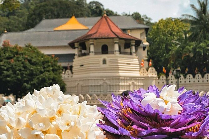 Kandy City Sightseeing and Ambuluwawa Tower by Tuk Tuk Tour - Temple of the Sacred Tooth Relic: Kandy’s Key Spiritual Stop