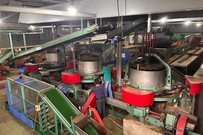 Kandy City Tour By Best Guide Lanka Tours - New Giragama Tea Factory: From Plucking to Your Cup