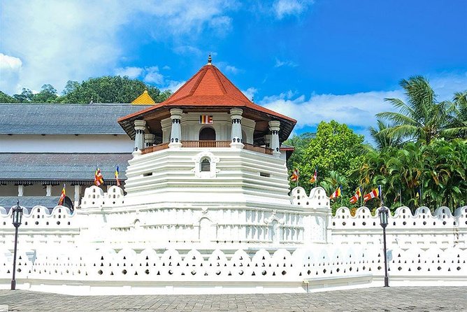 Kandy City Tour by Lux Tours Lanka - Key highlights to look for