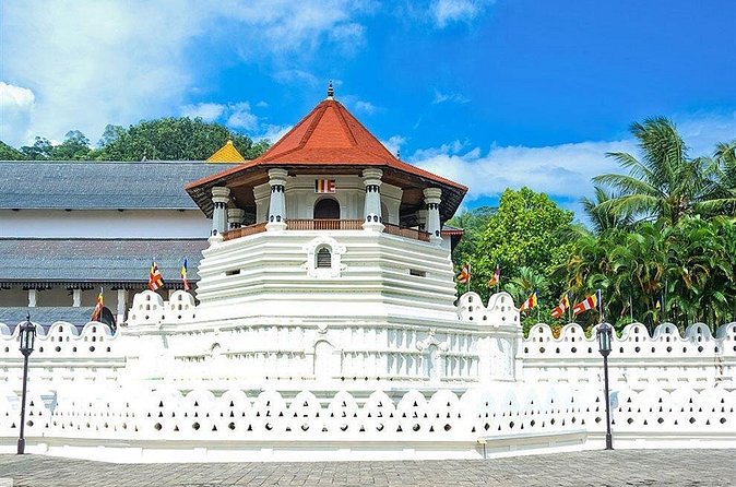 Kandy City Tour by Lux Tours Lanka - Udawattakele Forest Reserve: a quick reset in the city