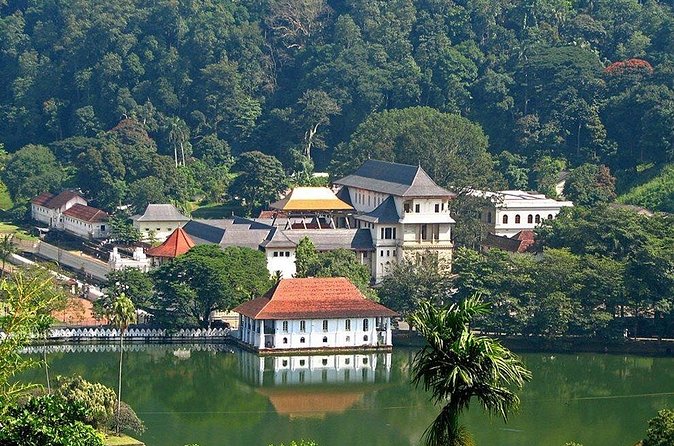Kandy City Tour by Lux Tours Lanka - Royal Botanical Gardens plus the paid stops that make time count