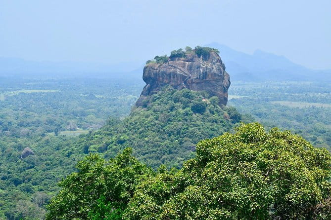 Kandy City Tour & Famous Ambuluwawa Tower with Friendly Chauffeur - Ceylon tea at the New Giragama Tea factory and Restaurant
