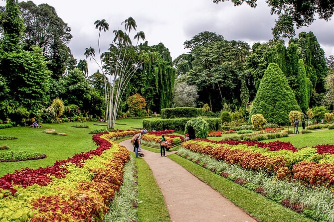 Kandy City Tour from Colombo - Temple of the Sacred Tooth Relic, what makes the gold roof matter