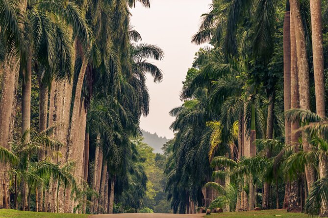Kandy City Tour from Colombo - Price and value for $100 per person