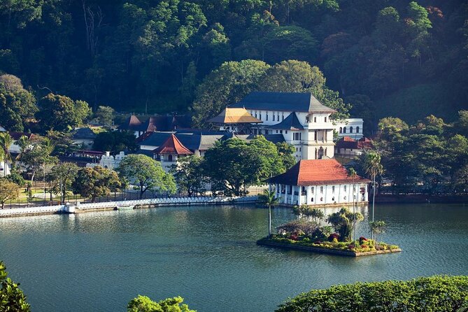 Kandy City Tour from Colombo - Peradeniya Botanical Gardens, orchids, palms, and that wobbly bridge