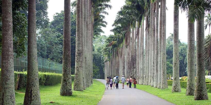 Kandy City Tour With Ambuluwawa Tower - How the tuk-tuk and guide make the whole day easier
