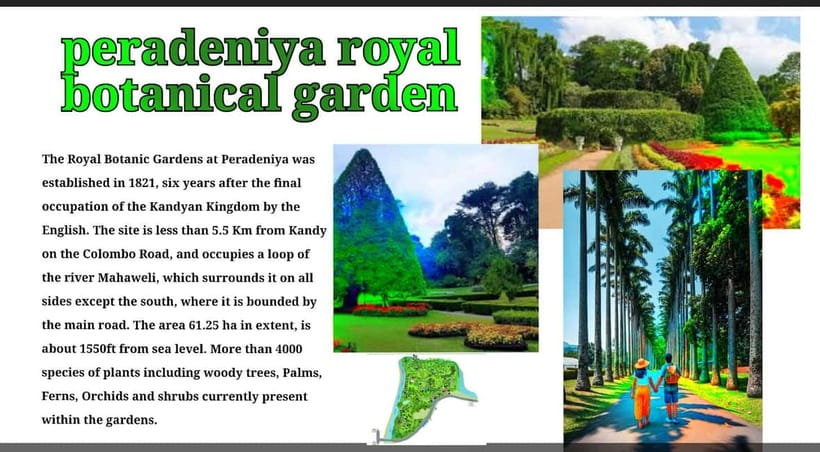 Kandy: City Tour with Temple of the Tooth & Tea Garden - Key highlights worth waking up for