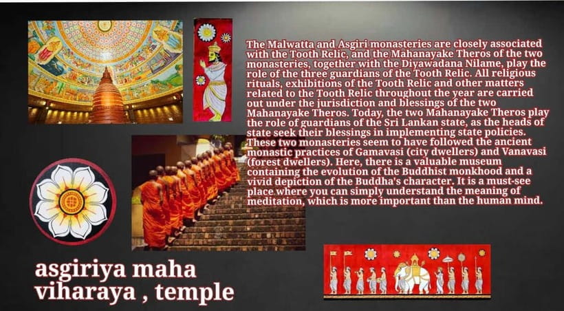 Kandy: City Tour with Temple of the Tooth & Tea Garden - Timing, walking comfort, and why small groups help in Kandy