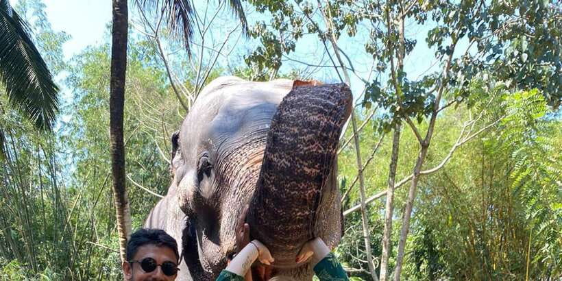 Kandy City Tours by Tuk Tuk - Tea Plantation and Mahawali River: How This Tour Feels More Like a Day Out