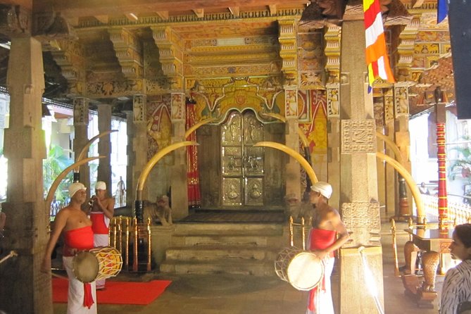 Kandy Day Tour From Colombo - Price and Logistics for Colombo to Kandy in One Day