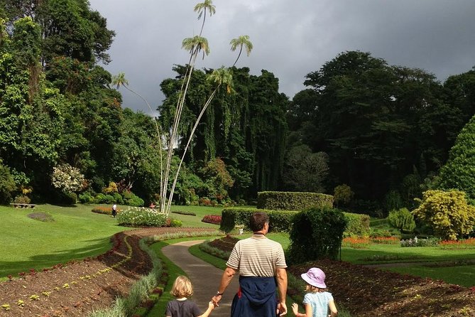 Kandy Day Tour From Colombo - Guide Style Matters: When Your Driver-Guide Can Save the Day