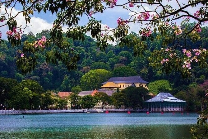 Kandy Day trip from Kalutara Beruwala Bentota Aluthgama Wadduwa - From the Coast to Kandy, Without the Headache