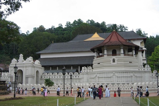 Kandy Day Trip with Tooth Relic Temple & Unique Attractions - 5:00am Pickup From Bentota, Then Straight Toward Kandy