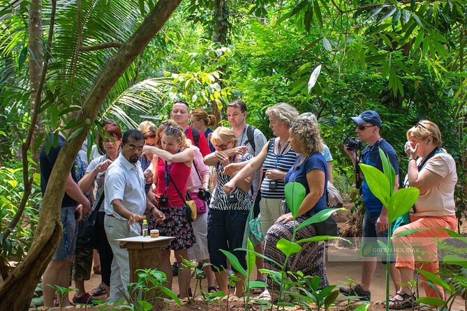 Kandy Day Trip with Tooth Relic Temple & Unique Attractions - What You Really Get for $160: Value Comes From What Is Included