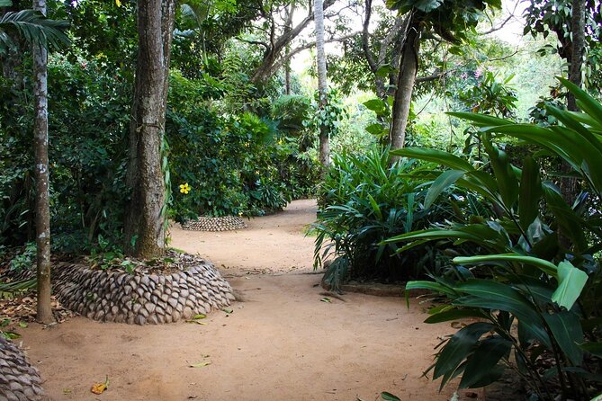 Kandy Full-Day Tour - Kandyan Art Association and rooftop lunch: where the day regroups