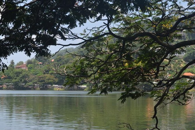 Kandy Full-Day Tour - Hemachandras Limited Jewellers: gem talk, and the reality of pressure