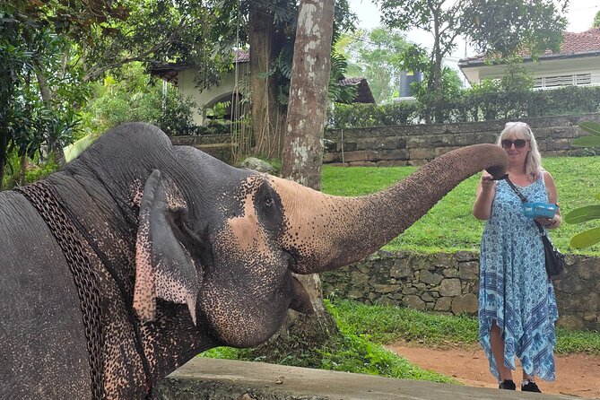 Kandy Full Day Tour Private All Inclusive - Key Things to Know Before You Go