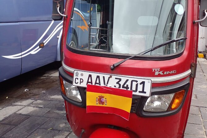 Kandy Heritage City Tour by tuktuk - Peradeniya Royal Botanic Gardens: the time where walking pays off