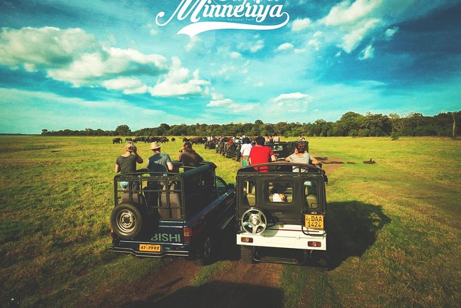 Kandy - Minneriya National park & Sigiriya Rock by tuk tuk tours - Ayurvedic Village Visit: What One Hour Really Gives You