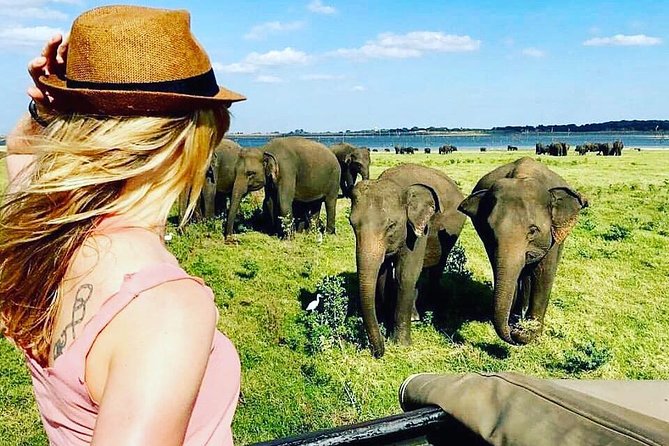 Kandy - Minneriya National park & Sigiriya Rock by tuk tuk tours - Guide Style, Flexibility, and the Wi-Fi Advantage