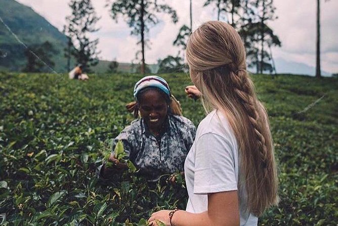Kandy & Nuwara Eliya | 2 Days Tour - How this 2-day Kandy and Nuwara Eliya plan really works