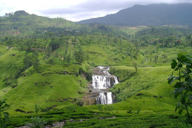 Kandy & Nuwara Eliya | 2 Days Tour - Price, value, and what you should expect to pay extra