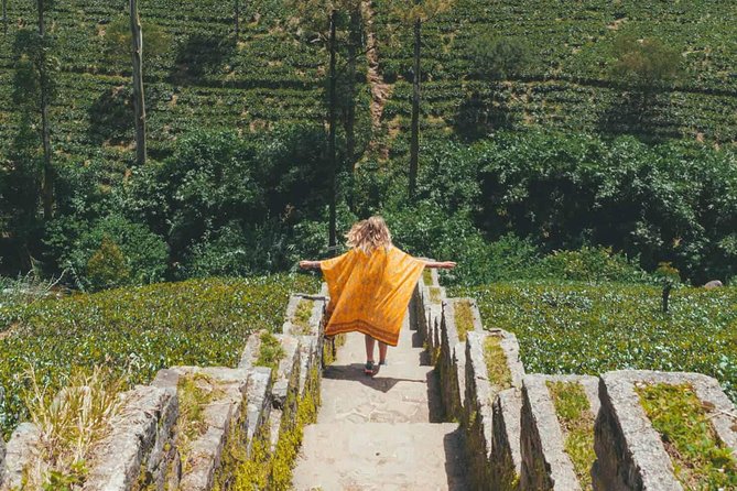 Kandy & Nuwara Eliya | 2 Days Tour - Should you book this Kandy and Nuwara Eliya 2-day tour?