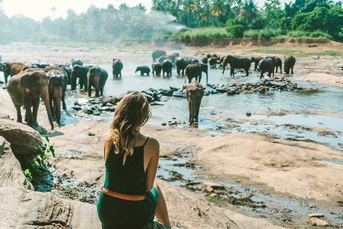 Kandy & Nuwara Eliya | 2 Days Tour - Day 2 to Nuwara Eliya: tea-country views, a factory visit, and a British-style town break