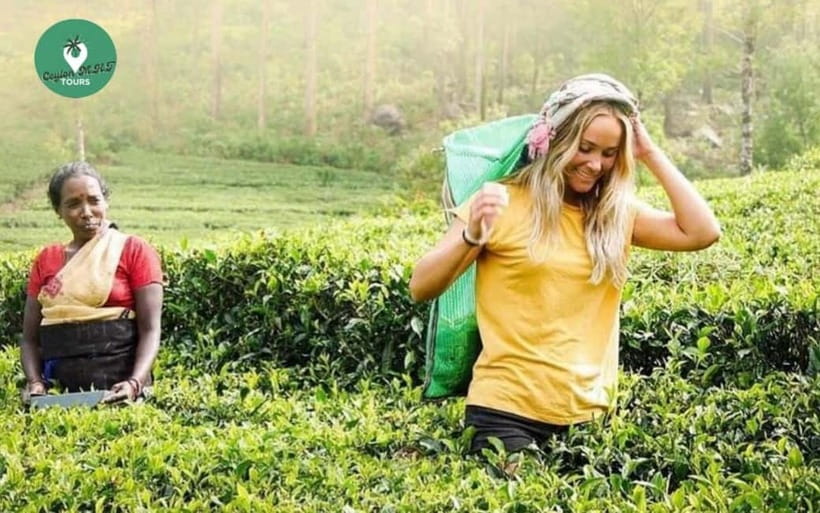 Kandy: Nuwara Eliya Day Explore by Tuk tuk with Local Guide - Key things that make this day trip worth it