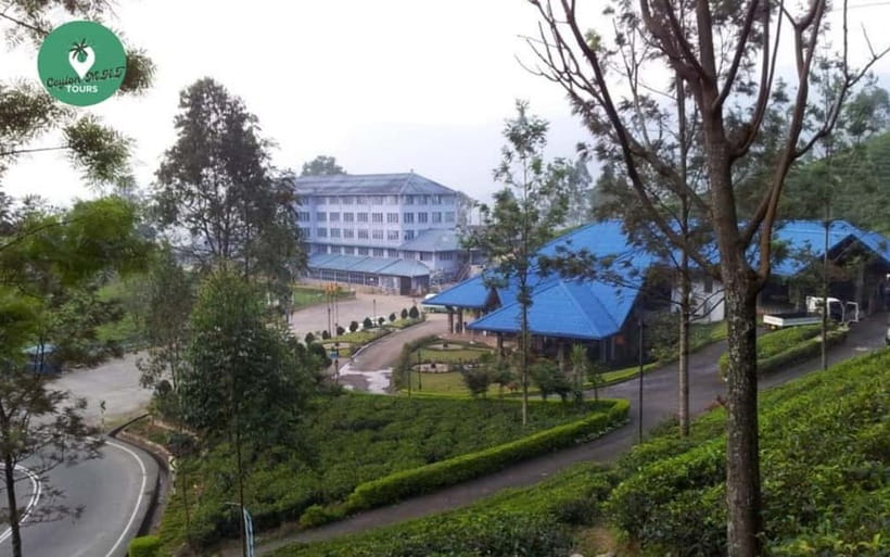 Kandy: Nuwara Eliya Day Explore by Tuk tuk with Local Guide - Blue Field tea factory, tea country views, and what to watch for