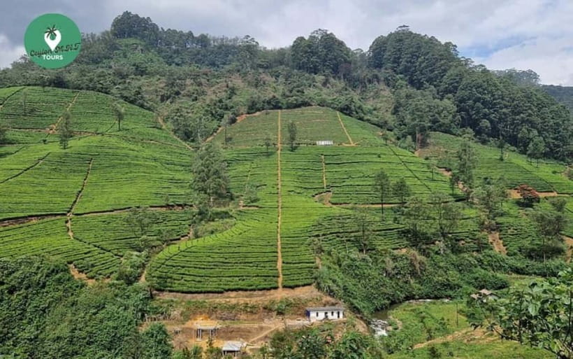 Kandy: Nuwara Eliya Day Explore by Tuk tuk with Local Guide - Timing, group size, and what the 12 hours really means