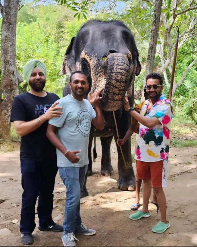 Kandy : Pinnawala Day Tour with Top Rated Local Guide - Giragama tea factory: free entry, and a taste of how locals drink their day